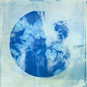 STRABE - How Our Love Grows - LP - Vinyl image