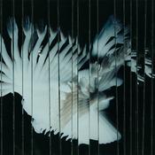 SCALER - Endlessly - LP - Vinyl image