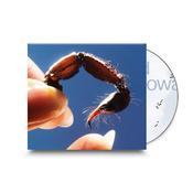 SQUID - Cowards - CD [FEB 7] image
