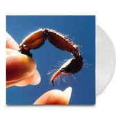 SQUID - Cowards (with SIGNED Print) - LP - Clear Vinyl [FEB 7] image