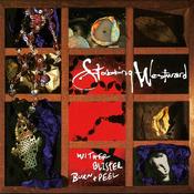 STABBING WESTWARD - Wither Blister Burn + Peel (Reissue) image