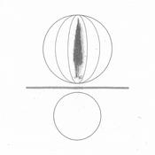 STEPHEN O’MALLEY - Spheres Collapser image