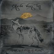 STEVE VON TILL - Alone In A World Of Wounds image