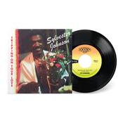 SYL JOHNSON - Tripping On Your Love / Foxy Brown image
