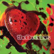 THE BREEDERS - Last Spash (Reissue) image