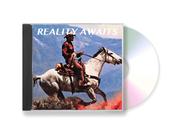 THE STROKES - Reality Awaits image