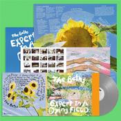 THE BETHS - Expert In A Dying Field (Repress with Poster) - LP - Silver Vinyl [MAR 7] image