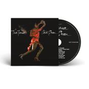 TINA TURNER - Acid Queen (Reissue) - CD [NOV 15] image