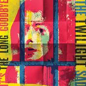 THE TWILIGHT SAD - It's The Long Goodbye - LP - Black Vinyl [MAR 27] image
