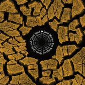 VARIOUS - Sand Worms (The Songs Of Howe Gelb And Giant Sand) - LP - Vinyl image