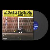 Songer - What If I Say No? image