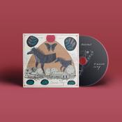 WILL JOHNSON - Diamond City - CD [APR 4] image