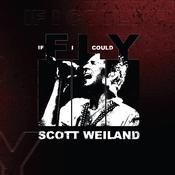 Scott Weiland - If I Could Fly/Barbarella (Live) image