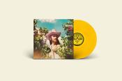 DUANE BETTS - Isle Of Hope image