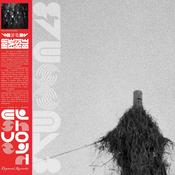 Irreversible - Vessel image