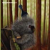 MADLIB - Medicine Show No. 11: Low Budget High-Fi Music (2026 Repress) image
