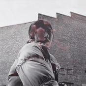 ALDOUS HARDING - Warm Chris image