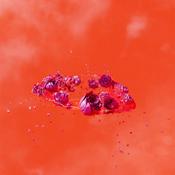 AMI DANG - The Living World's Demands - LP - Vinyl image
