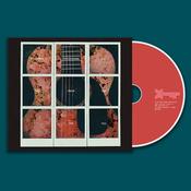 DASHBOARD CONFESSIONAL - All The Truth That I Can Tell - CD image