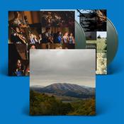 DIRTY PROJECTORS &amp; BJORK - Mount Wittenberg Orca (Expanded Edition w/ 13 Bonus Tracks) - 2LP - Dark Green Vinyl [RSD23] image