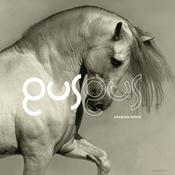 GUSGUS - Arabian Horse (Repress) - 2LP - Vinyl image