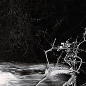 LIAR FLOWER - Geiger Counter - LP - Vinyl image