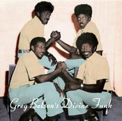 VARIOUS - Greg Belson's Divine Funk (Restock) - LP - Vinyl image