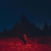 PHOEBE BRIDGERS - Punisher - LP - Vinyl image
