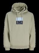 Catskills Square Branding Hoodie-Seagrass image