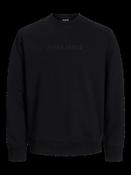 Recharge Mold Print Black Crew Sweat image