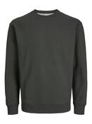 Clogan Peat Crew Neck Sweat image