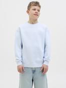 Jorvesterbro Sweat Crew Neck Junior-Skyway image