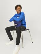 Twill Fusion Sweat Pants Junior-Black image