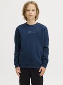 Point Badge Junior Titan Sweatshirt