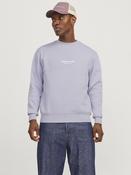 Vesterbro Cosmic Sky Sweat image