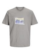 Sago Photo Slub Tee Short Sleeve Crew Neck-Gray Flannel image