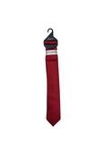 Kid Boys Red Tie &amp; Pocket Square