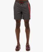 Sport Graphic 17 Swim Short-Charcoal