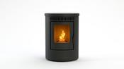 Duroflame Rinus Pellet Stove image