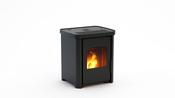 Duroflame Rembrand Pellet Stove image