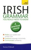 Irish Grammar You Really Need to Know