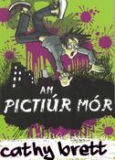An Pictiúr Mór