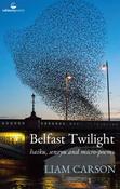Belfast Twilight - haiku, senryu and micro-poems