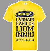 Pacáiste Gaeilge24 2025 – Gaeilge 24 – G24