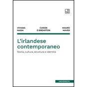 L'irlandese contemporaneo - storia, cultura, struttura e identità