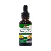 Nature's Answer Astragalus Alcohol Free Tincture | Buy Online in Ireland| Buy Online in Ireland