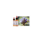 Healing Herb Bach Cerato | Buy Online in Ireland| Buy Online in Ireland