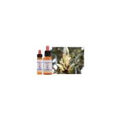 Healing Herbs Bach Chestnut Bud | Buy Online in Ireland| Buy Online in Ireland
