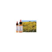 Healing Herbs Bach Gorse | Buy Online in Ireland| Buy Online in Ireland