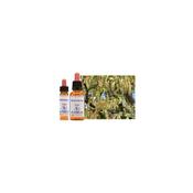 Healing Herbs Bach Hornbeam | Buy Online in Ireland| Buy Online in Ireland
